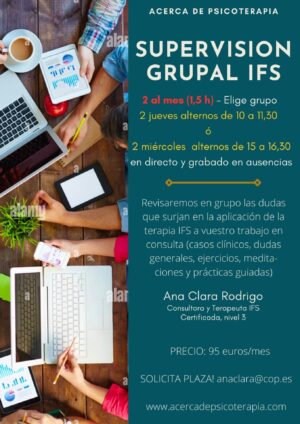 SUPERVISION grupal ifs (1)
