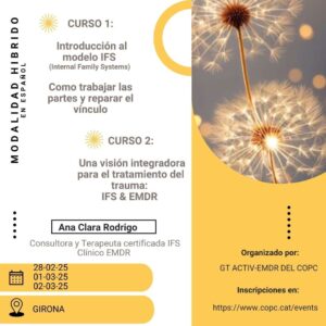 Internal Family Systems con EMDR